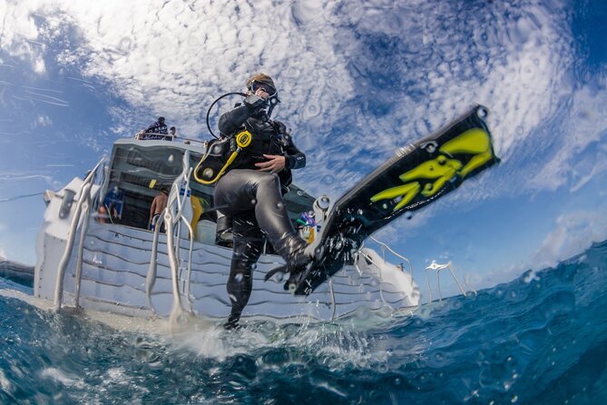 Silverswift Dive and Snorkel Great Barrier Reef Cruise - How much value do you get for $212.30?