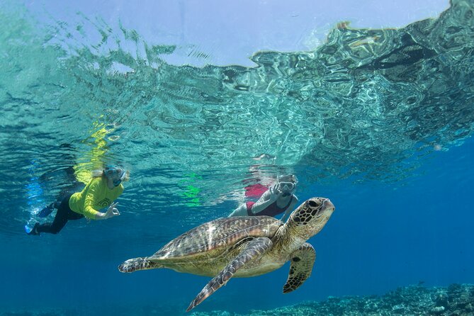 Silverswift Dive and Snorkel Great Barrier Reef Cruise - What happens at the Cairns departure