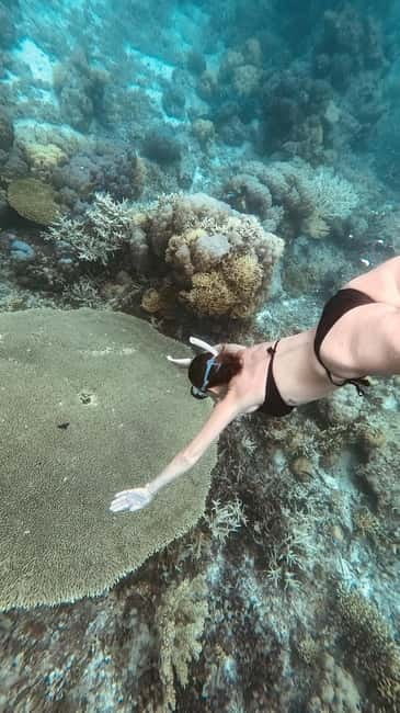 Siquijor: Jeepney Island Tour with Snorkeling - Key points to know before booking