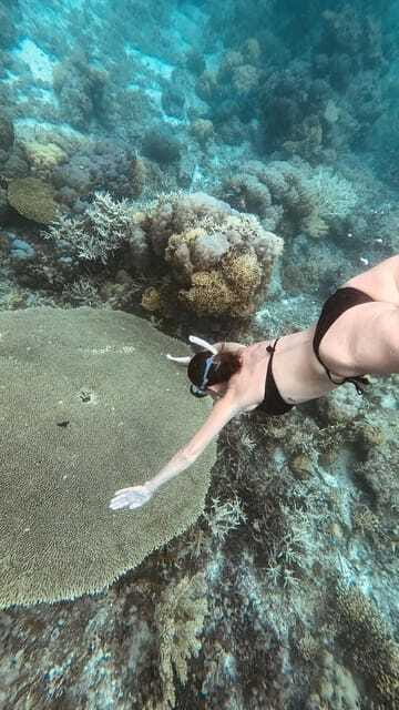Siquijor: Jeepney Island Tour with Snorkeling - What the $86 price really includes