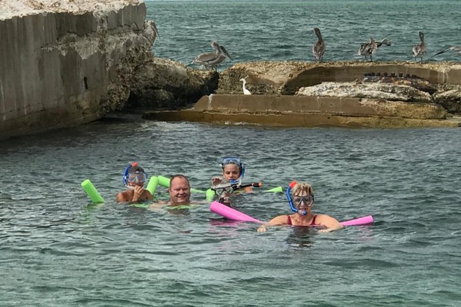 Small Group 2 Hour Dolphin Cruise with Snorkeling to Shell Key - A Small Boat Makes This St. Pete Cruise Feel Personal