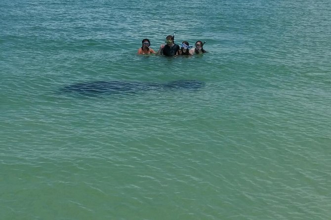 Small Group 2 Hour Dolphin Cruise with Snorkeling to Shell Key - What Two Hours Really Gives You
