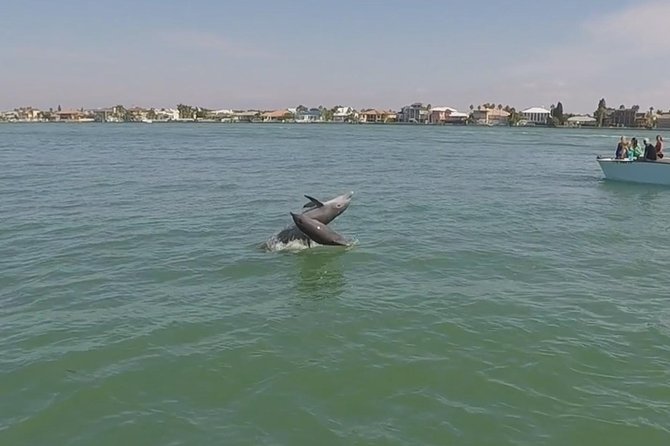 Small Group 2 Hour Dolphin Cruise with Snorkeling to Shell Key - Practical Details Before You Book