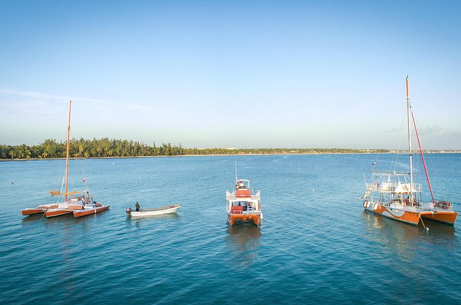 Small-Group Cruising and Snorkeling Catamaran Tour - The sandbar stop and floating bar