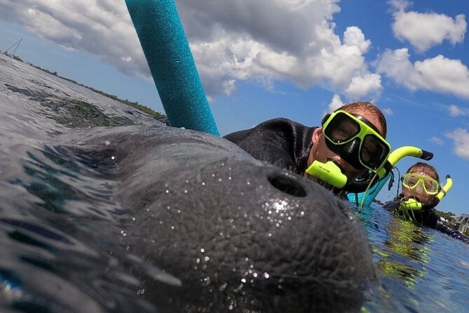 Small Group Manatee Snorkel Tour with In-Water Guide and Photographer - Why Crystal River is special for manatees