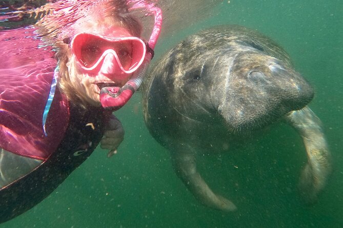 Small Group Manatee Snorkel Tour with In-Water Guide and Photographer - The ride to the departure point