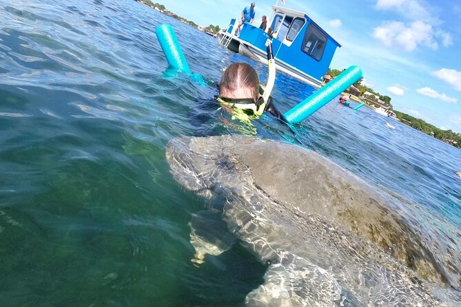 Small Group Manatee Snorkel Tour with In-Water Guide and Photographer - Entering the water with a guide
