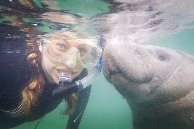 Small Group Manatee Snorkel Tour with In-Water Guide and Photographer - Starting at Salty Siren Tours