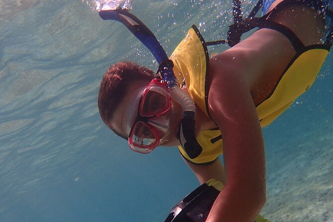 Small-Group Sea Scooters Snorkel at Mangel Halto Beach in Aruba - The Included Photos Are a Real Part of the Value