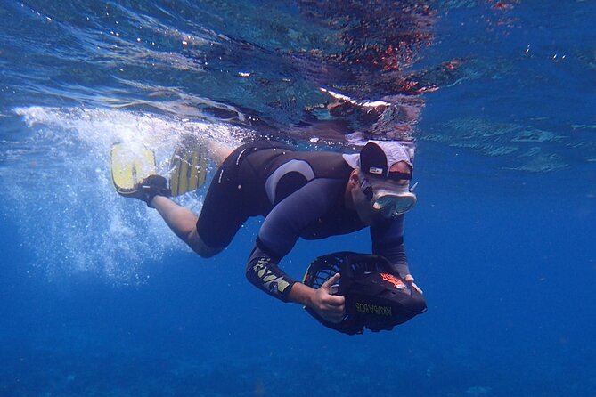 Small-Group Sea Scooters Snorkel at Mangel Halto Beach in Aruba - The Mangel Halto Reef Loop