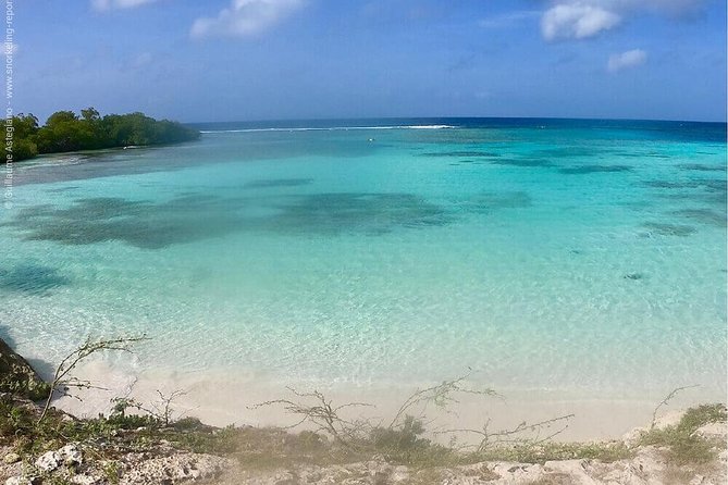 Small Group Snorkeling at Mangel Halto Aruba - Key points to know before you book