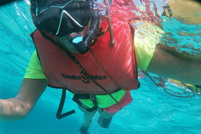 Small Group Snorkeling at Mangel Halto Aruba - Why the small group matters