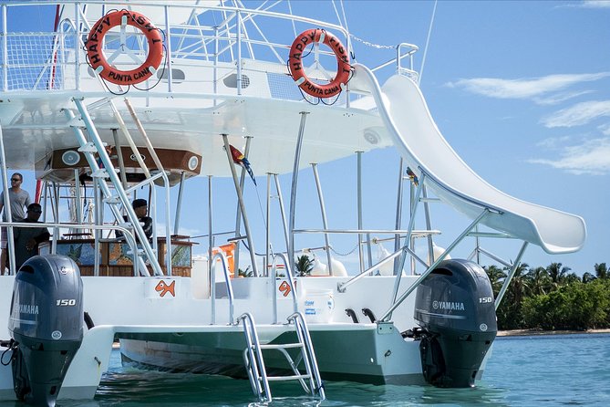 Small Group Snorkeling Cruise with Open Bar and Light Snacks - Drinks and light snacks on board