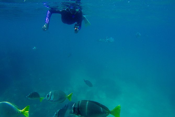 Snorkel Adventure and Hike to a Hidden Beach - Guacamole, ceviche, and a beach break