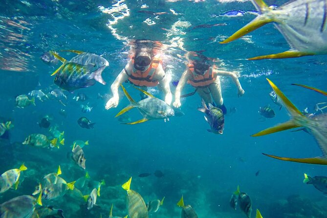 Snorkel and arch tour in los cabos - A quick boat ride to Cabo’s biggest sights