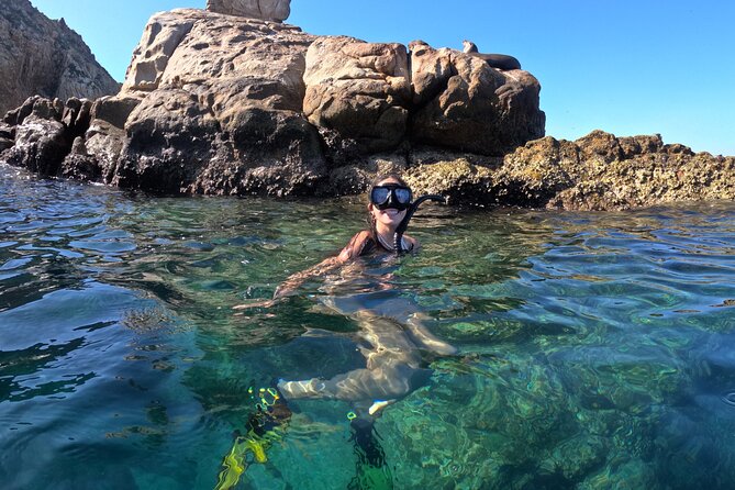 Snorkel and arch tour in los cabos - El Arco, sea lions, and the first photo stop