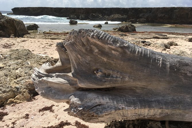 Snorkel and Beach Adventure Tour - What this Curacao tour is really like