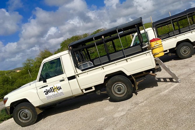 Snorkel and Beach Adventure Tour - The guides make a major difference