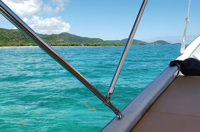 Snorkel and Exclusive Beach Exploration in Antigua - Fresh pineapple, sandwiches, and rum punch