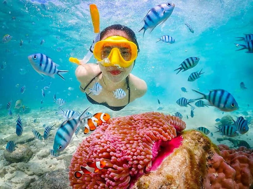 Snorkel & Chill: Nemo Island Trip from Pattaya - Key points before you book
