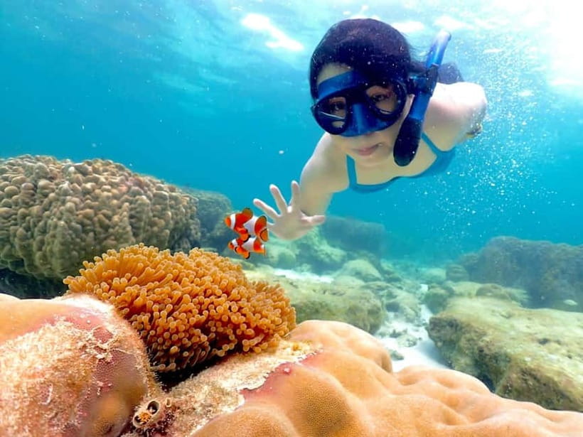 Snorkel & Chill: Nemo Island Trip from Pattaya - Finding Nemo and getting the photos