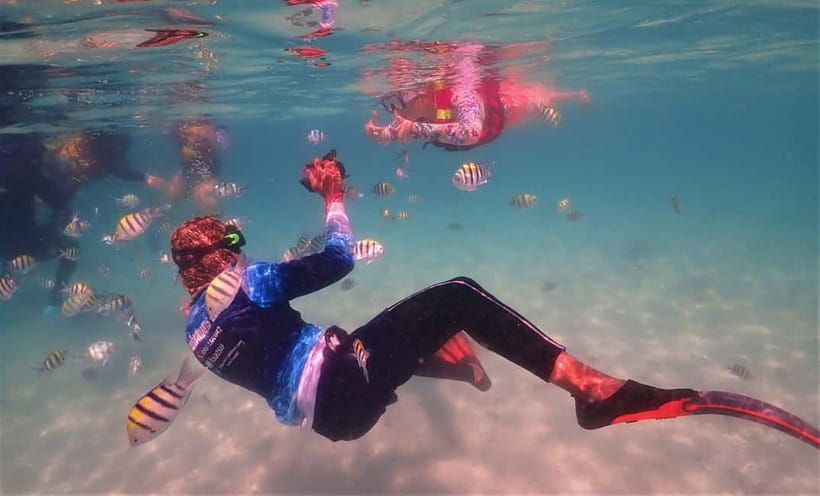 Snorkel & Chill: Nemo Island Trip from Pattaya - Paddleboards and the time between swims