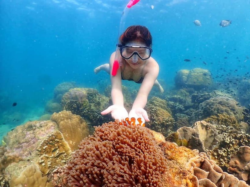 Snorkel & Chill: Nemo Island Trip from Pattaya - What $41 really includes
