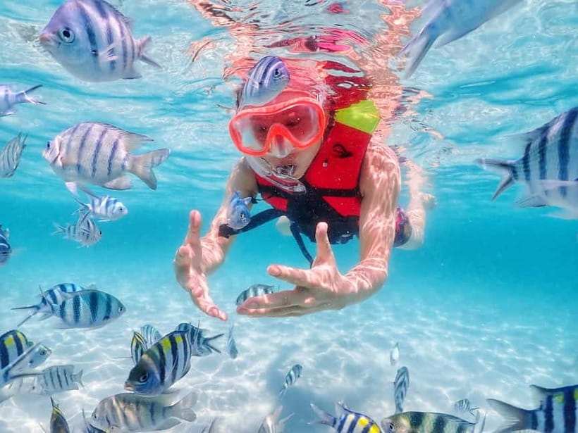 Snorkel & Chill: Nemo Island Trip from Pattaya - Should you book Nemo Island from Pattaya?
