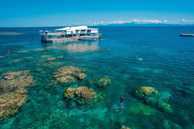 Snorkel & Dive the Reef: Sustainable, Scientific & Cultural Tour - A fast ride from Cairns to the outer reef
