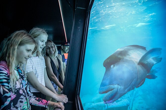Snorkel & Dive the Reef: Sustainable, Scientific & Cultural Tour - Scuba and helmet walking for extra cost