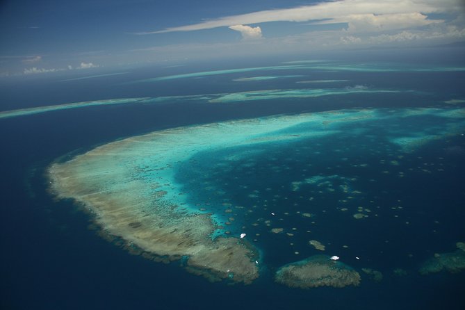 Snorkel & Dive the Reef: Sustainable, Scientific & Cultural Tour - Lunch, tea, and what the price covers