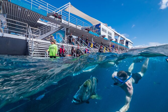 Snorkel & Dive the Reef: Sustainable, Scientific & Cultural Tour - Marine World platform: your base for the day