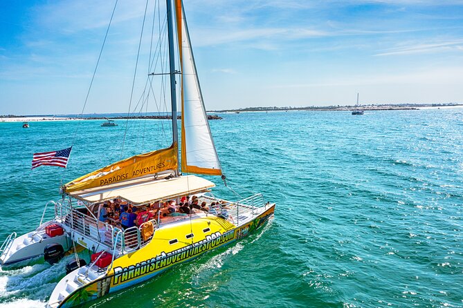Snorkel & Dolphin Sightseeing Tour Aboard the Footloose - What the Footloose outing is really like