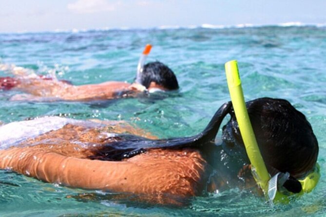 Snorkel & Dolphin Sightseeing Tour Aboard the Footloose - Who should book this catamaran trip?