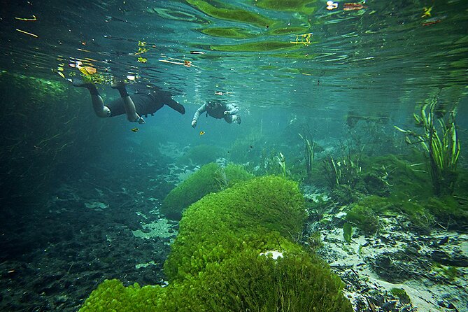 Snorkel in the Sucuri River - The clear-water appeal of Rio Sucuri