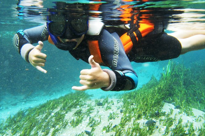 Snorkel in the Sucuri River - Fish, plants, and the importance of sunlight