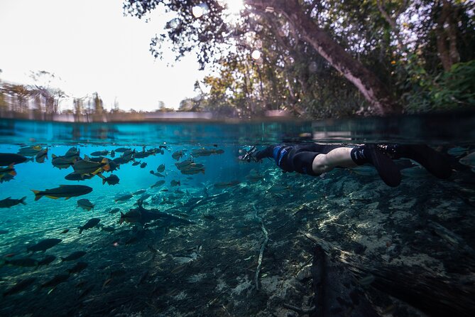 Snorkel in the Sucuri River - What the two-hour float feels like