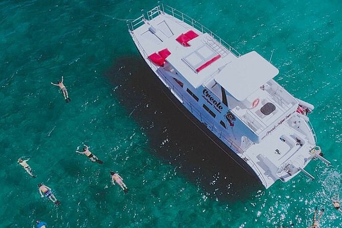 Snorkel - Lobster Lunch Cruise to Bird Island and Paradise Reef - Key Points