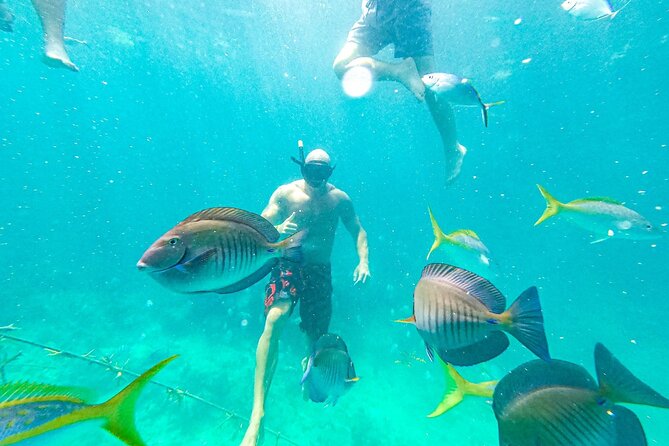 Snorkel Lovers for All Ages & Premium Seafood Lunch in Punta Cana - What the $114 price really includes