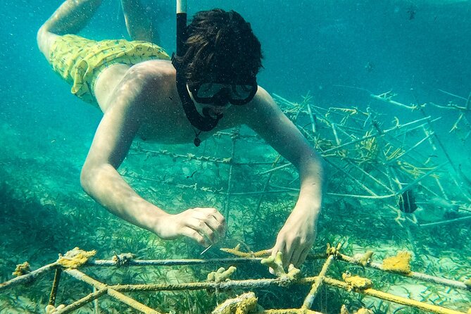 Snorkel Lovers for All Ages & Premium Seafood Lunch in Punta Cana - Small details that can make the day better