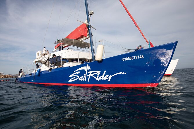 Snorkel, Lunch & Sail in Cabo San Lucas - Snorkeling near Santa Maria Beach