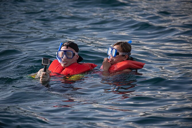 Snorkel, Lunch & Sail in Cabo San Lucas - Families, swimmers, and social groups