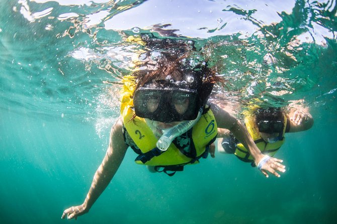 Snorkel, Lunch & Sail in Cabo San Lucas - Practical details that can make or break the day