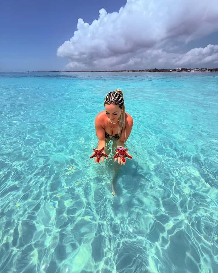 Snorkel Mnemba’s Reefs & Swim with Dolphins Adventure - Two hours near Mnemba Island