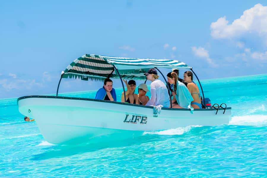 Snorkel Mnemba’s Reefs & Swim with Dolphins Adventure - Dolphin spotting is a possibility, not a promise