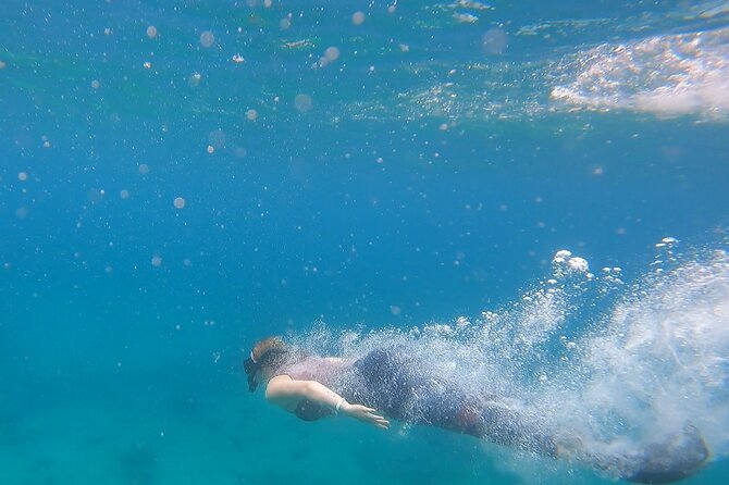 Snorkel Privately in Cabo San Lucas - What snorkeling is really like