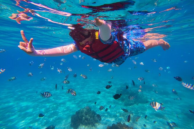 Snorkel St. John Tour from Sapphire and Margaritaville - Leaving Margaritaville for St. John at 9 a.m.