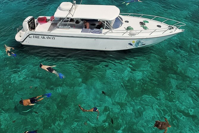 Snorkel St. John Tour from Sapphire and Margaritaville - The final snorkel and the ride home