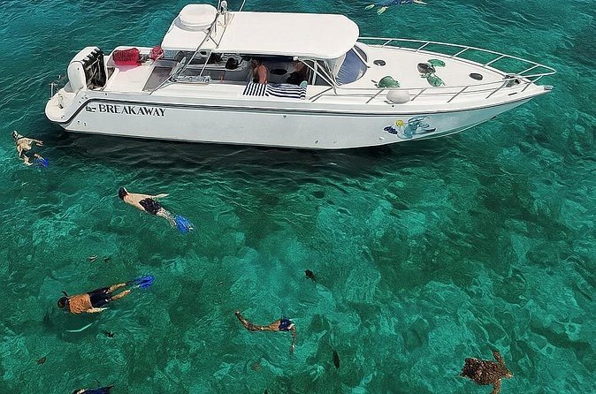 Snorkel St. John Tour from Sapphire and Margaritaville - Who will get the most from this boat day