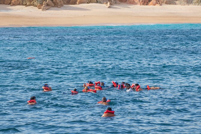 Snorkel & Sunset Sail in Cabo San Lucas - Crew, boat comfort, and group size